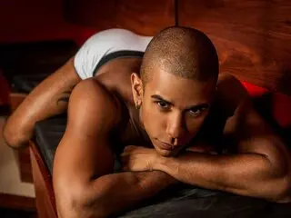 FernandoBlack webcam